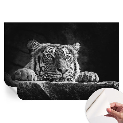 Papier peint autocollant pour le salon Regard prédateur