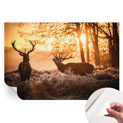 Papier peint photo autocollant pour la chambre Cerfs le matin