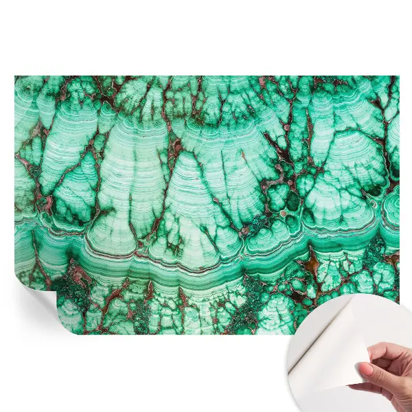Fresque murale autocollante motifs verts