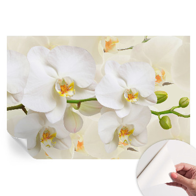Papier peint photo autocollant richesse florale