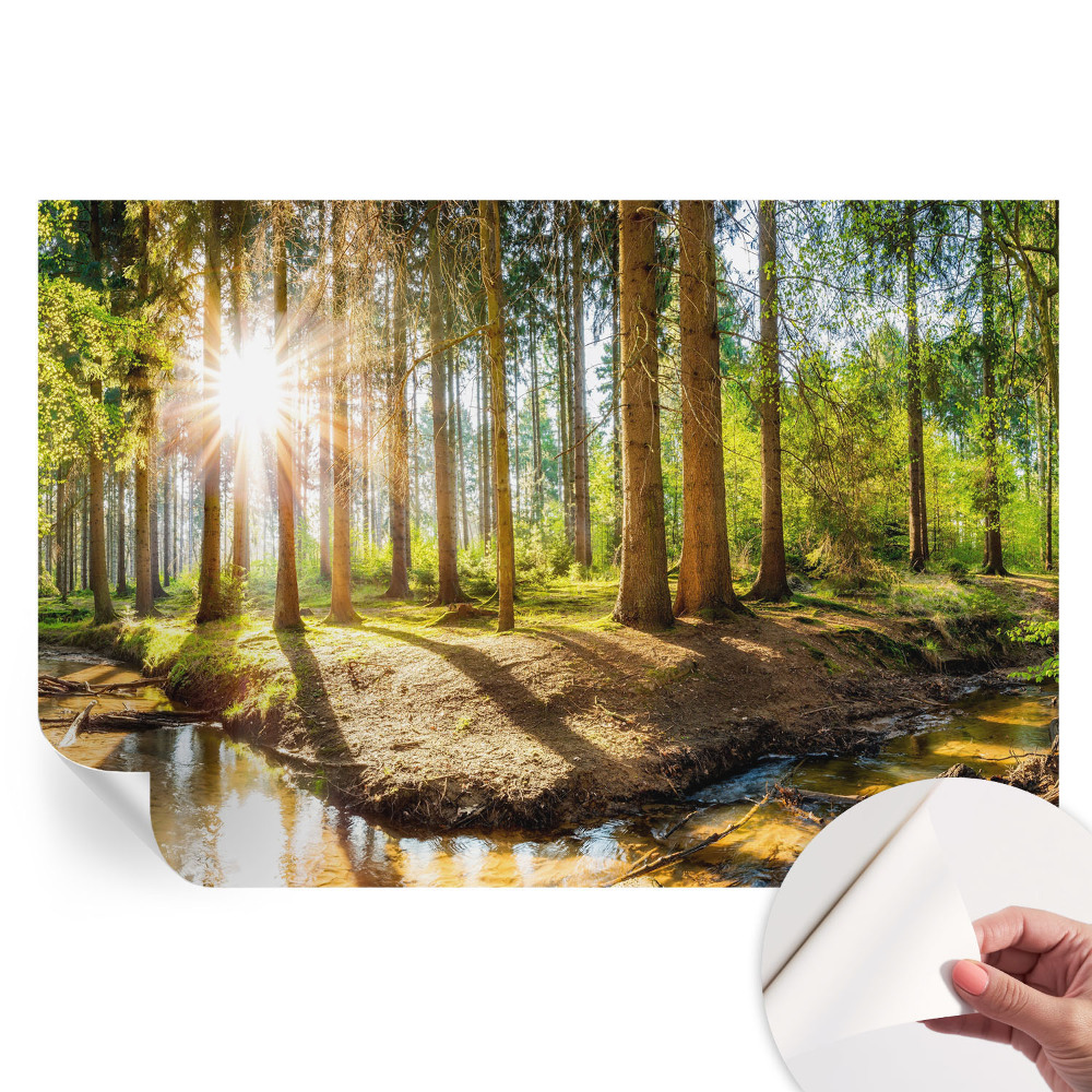 Papier peint photo autocollant pour la chambre idylle forestière