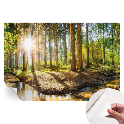Papier peint photo autocollant pour chambre motif idylle forestière