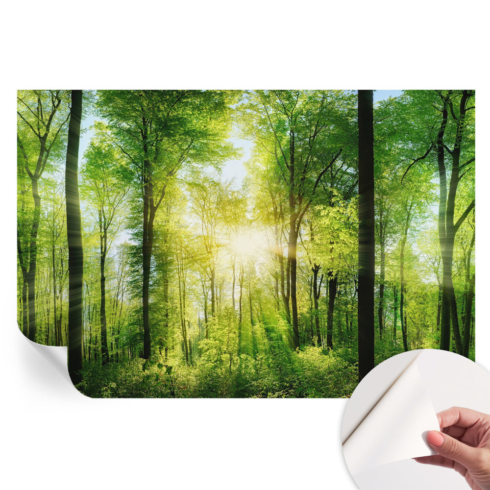 Fresque murale autocollante Harmonie forestière