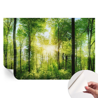 Fresque murale autocollante Harmonie forestière