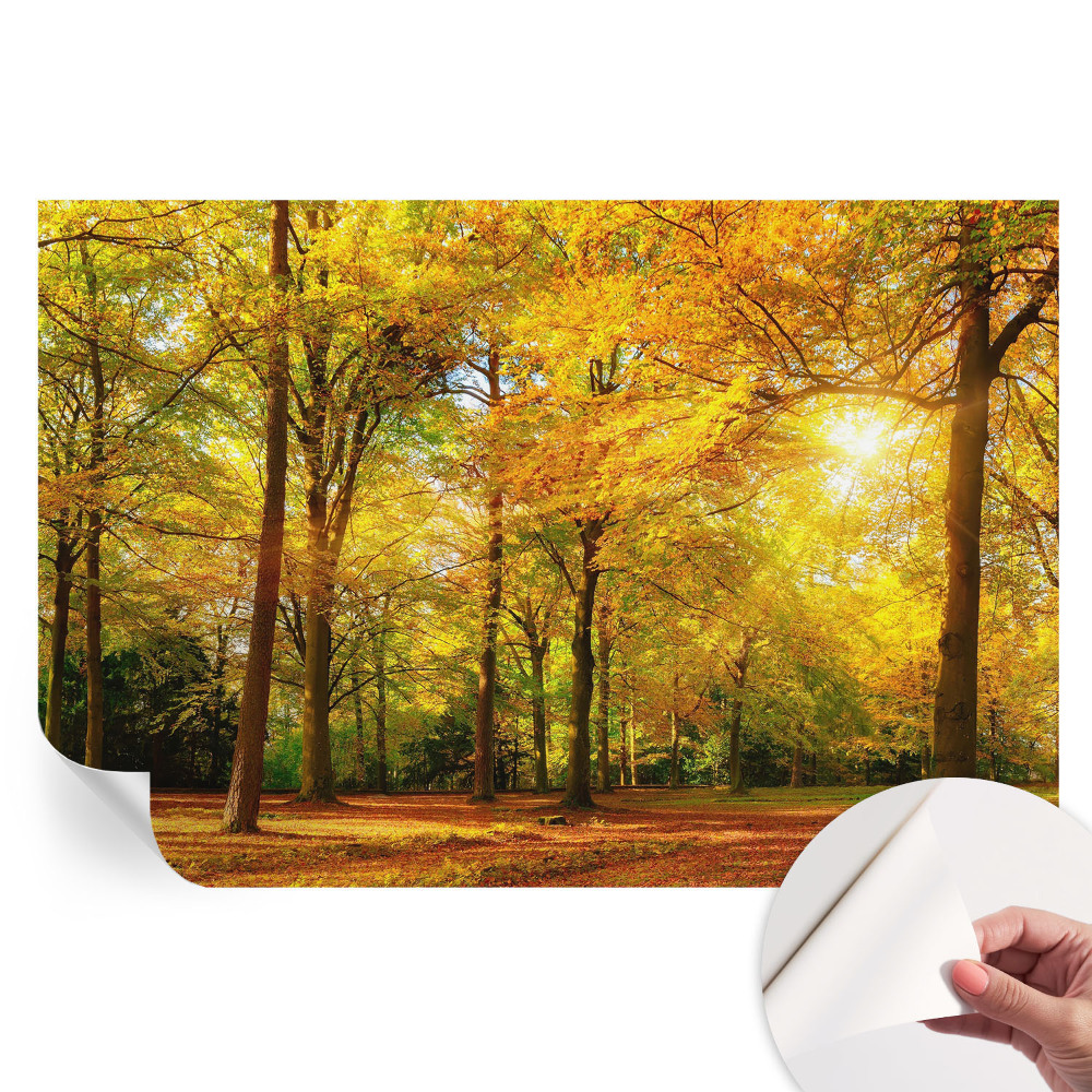 Papier peint photo autocollant feuilles dorées pour chambre