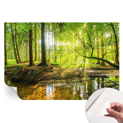 Papier peint autocollant paysage vert pour salon