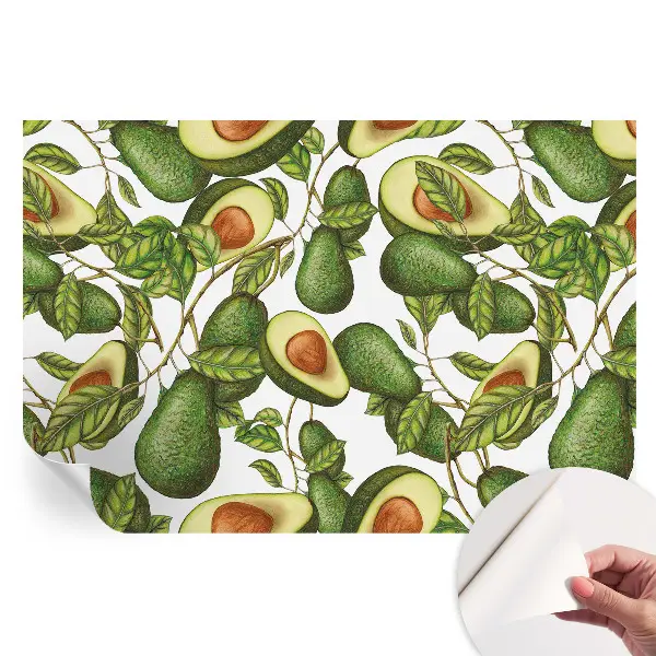 Papier peint photo autocollant motif avocat pour chambre