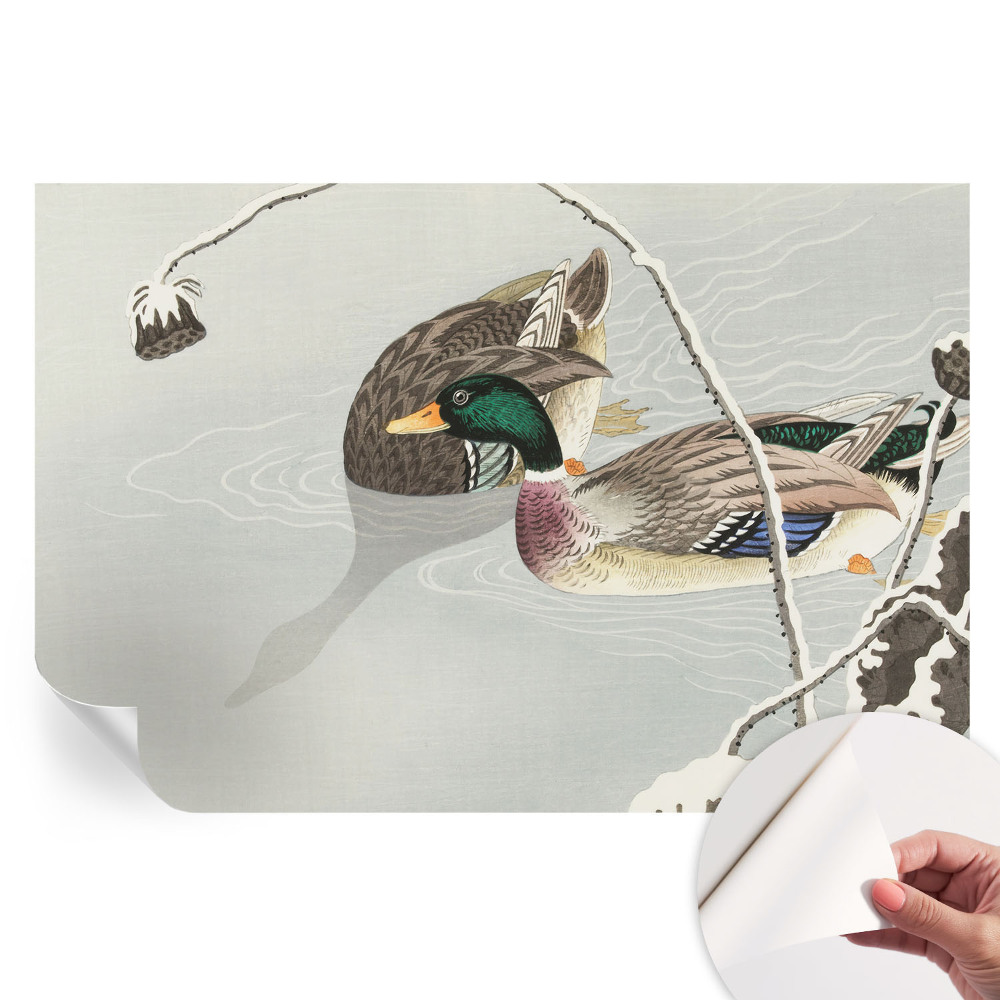 Papier peint photo moderne pour le salon Canards calmes