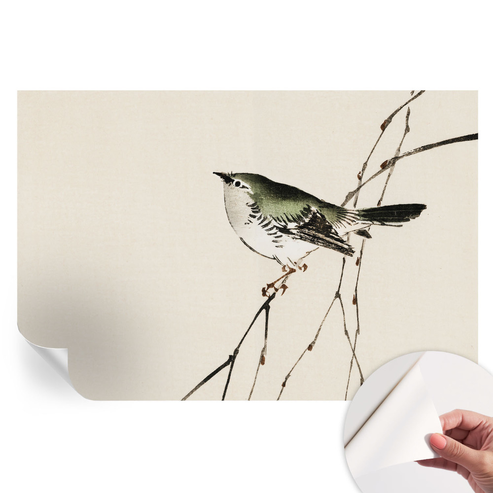 Papier peint photo moderne pour le salon Oiseau harmonieux