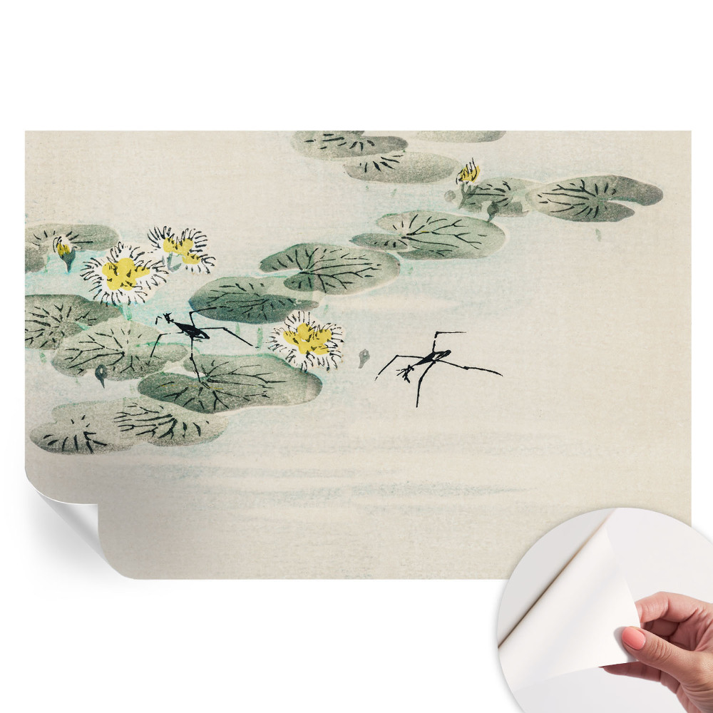 Papier peint photographique autocollant Eau calme