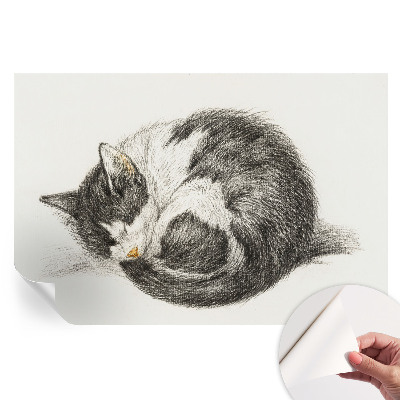 Papier peint photo autocollant pour la chambre adorable chaton