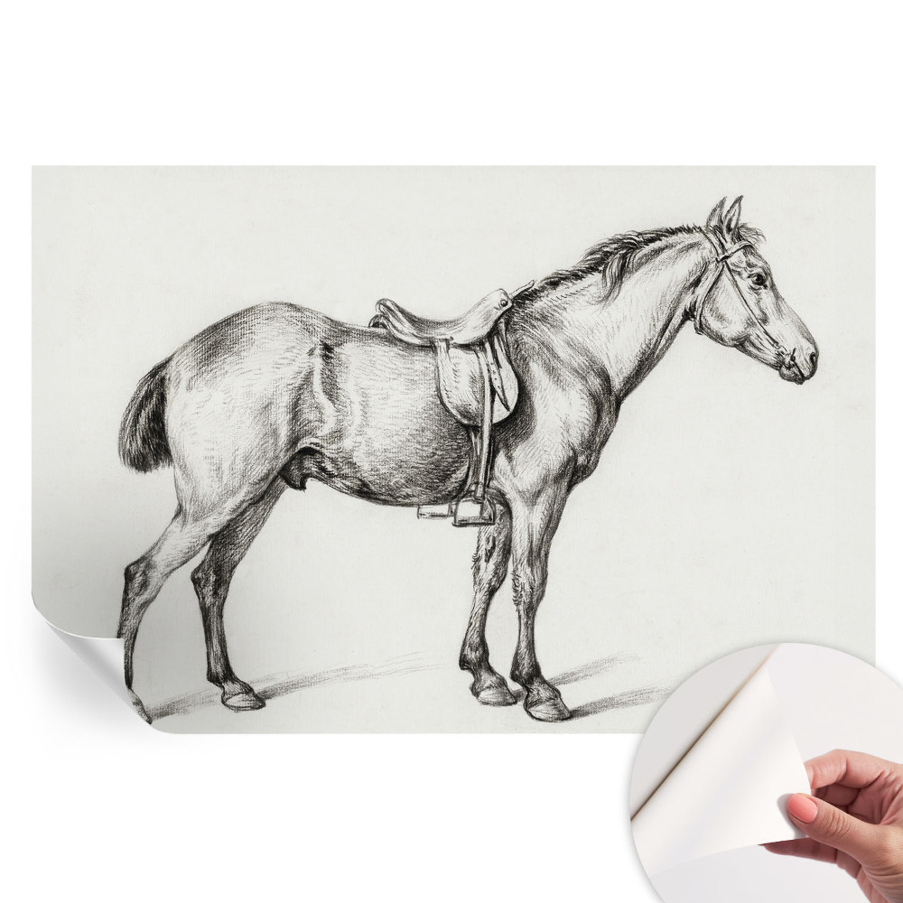Papier peint photo moderne pour le salon Croquis d'un cheval