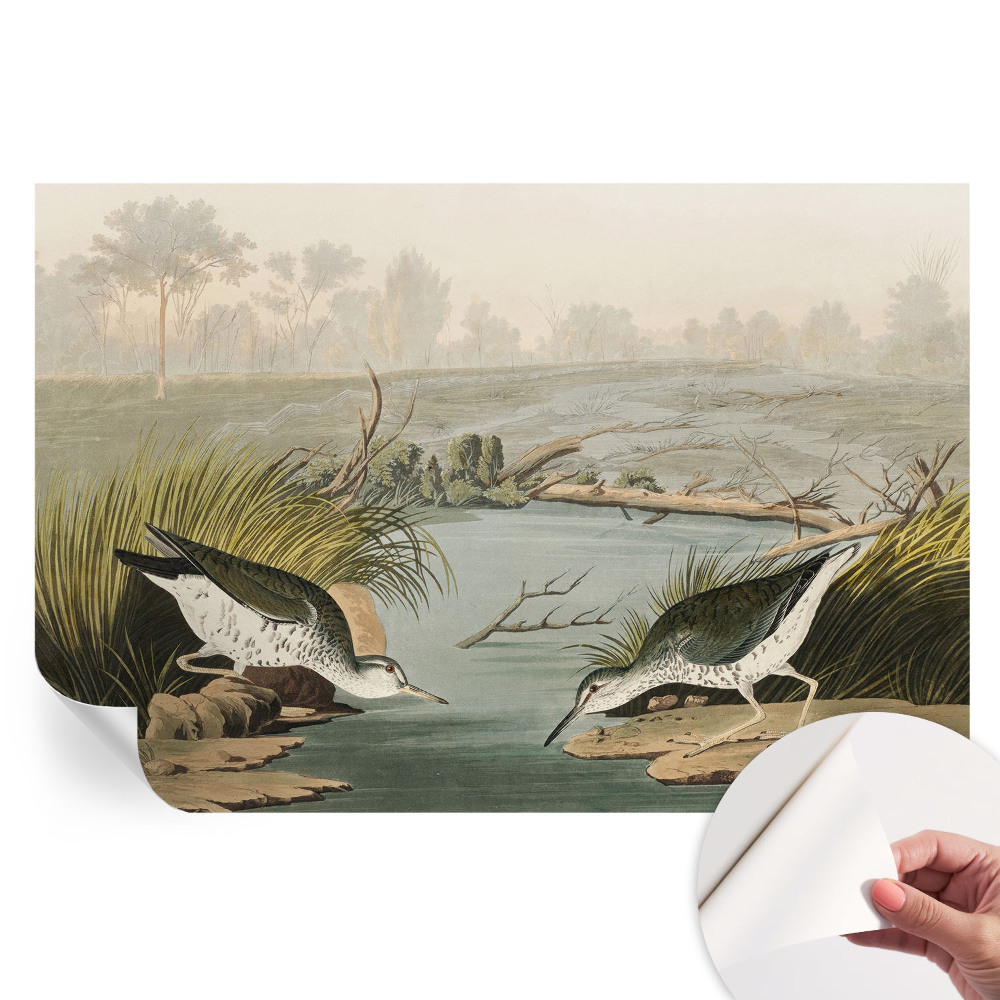 Papier peint autocollant paysage paisible pour salon