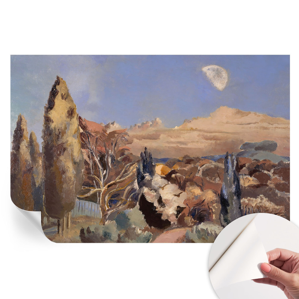 Papier peint photographique autocollant paysage forestier