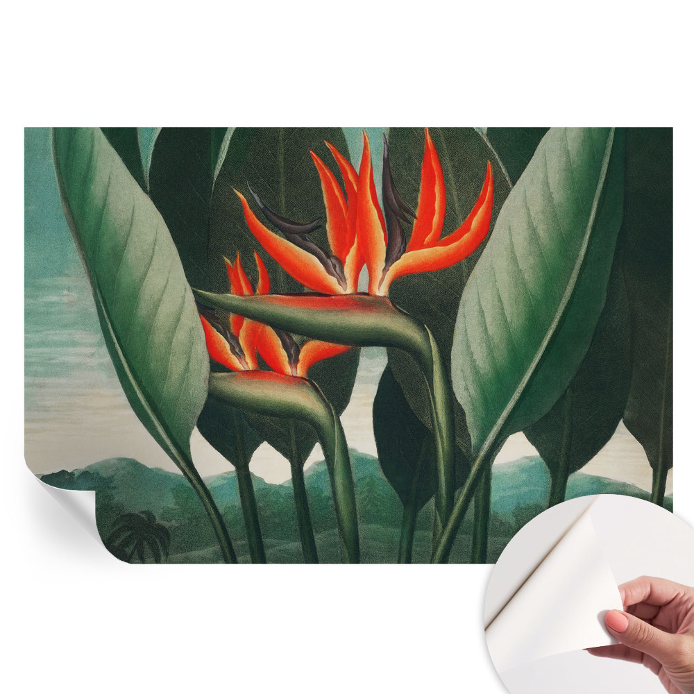 Papier peint photographique autocollant Fleurs exotiques