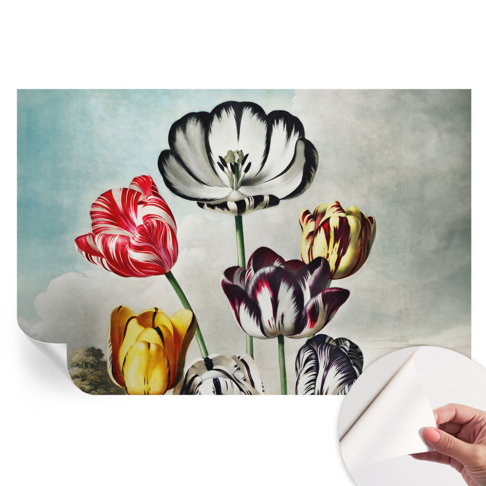 Papier peint autocollant pour le salon Tulipes colorées