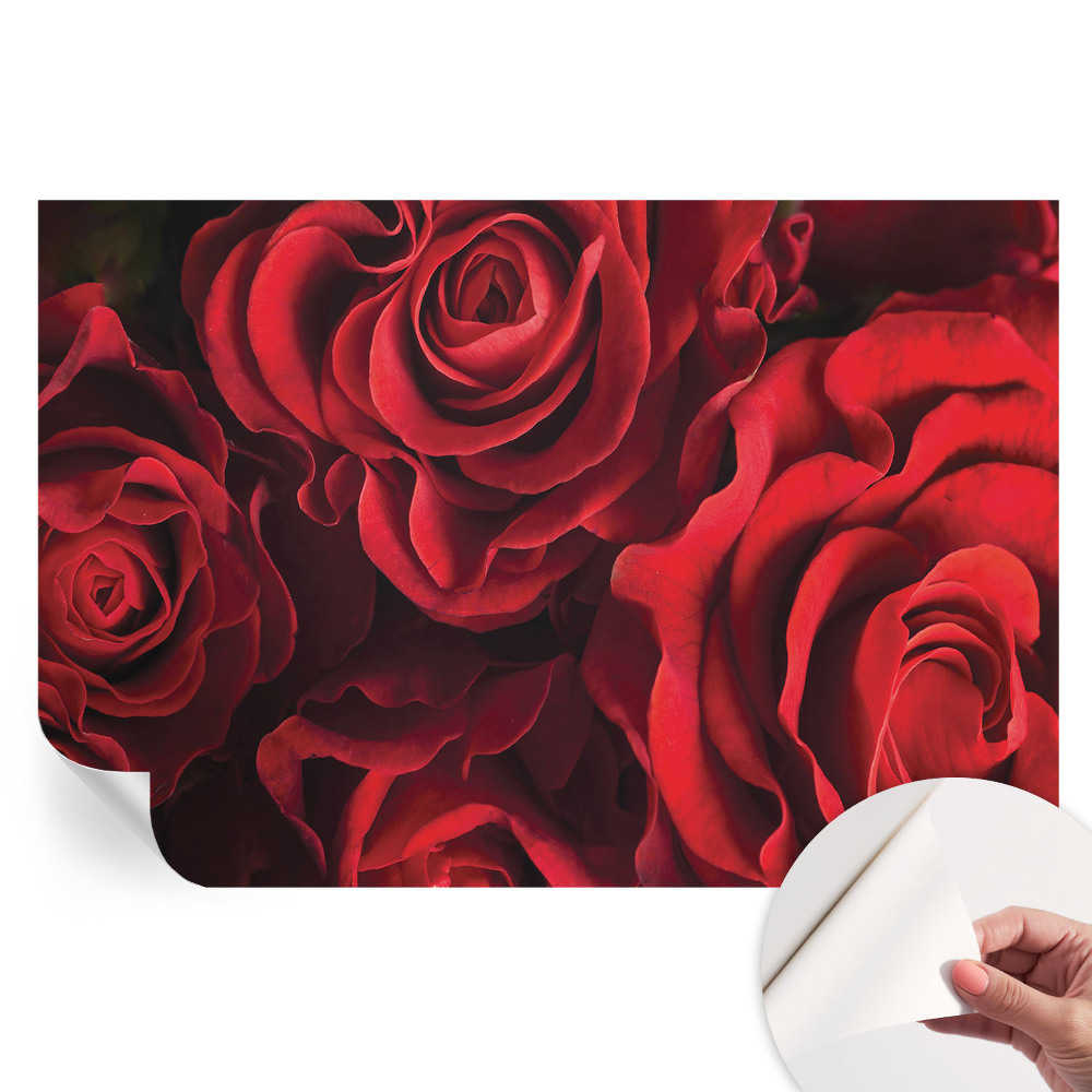 Papier peint photographique autocollant roses rouges