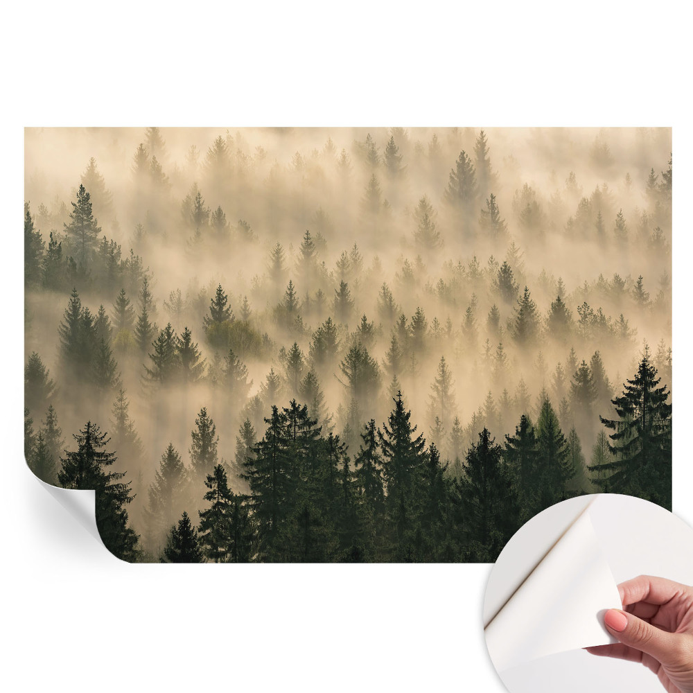 Papier peint photo moderne motif brouillard forestier pour salon