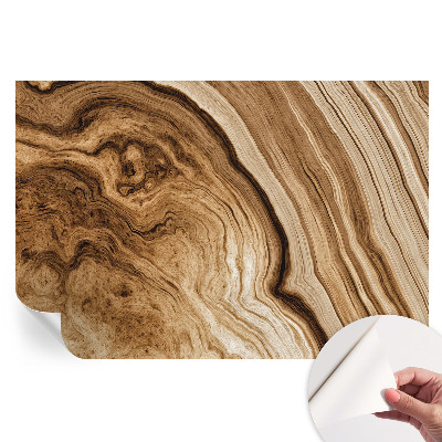 Papier peint photo moderne motif grain de bois pour salon