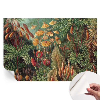 Fresque murale autocollante jardin exotique