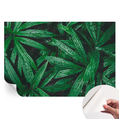 Fresque murale autocollante motif verdure naturelle