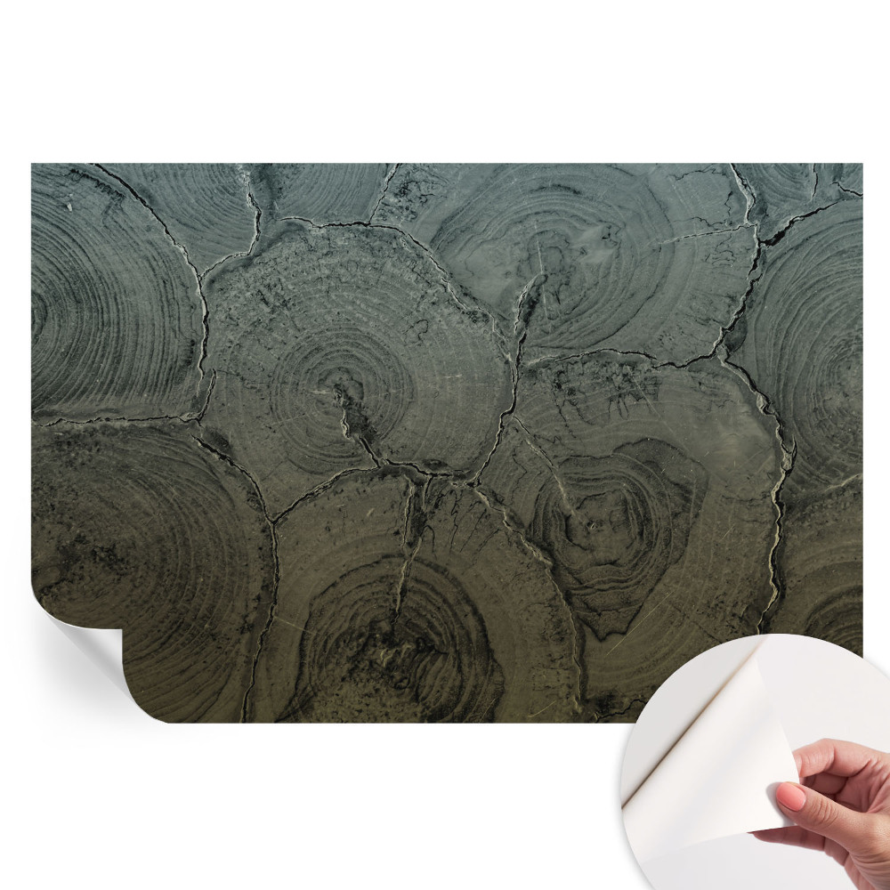 Papier peint autocollant pour salon motif anneaux en bois
