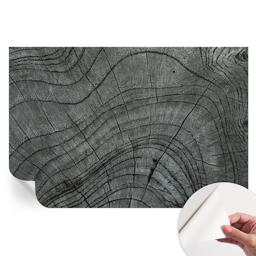 Papier peint photo moderne motif grain pour salon