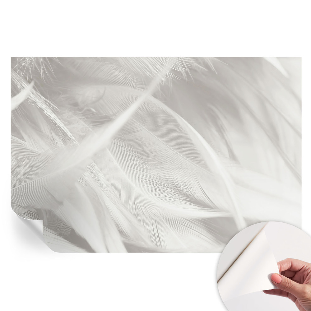 Papier peint photo moderne pour le salon Plumes subtiles