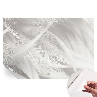 Papier peint photo moderne pour le salon Plumes subtiles