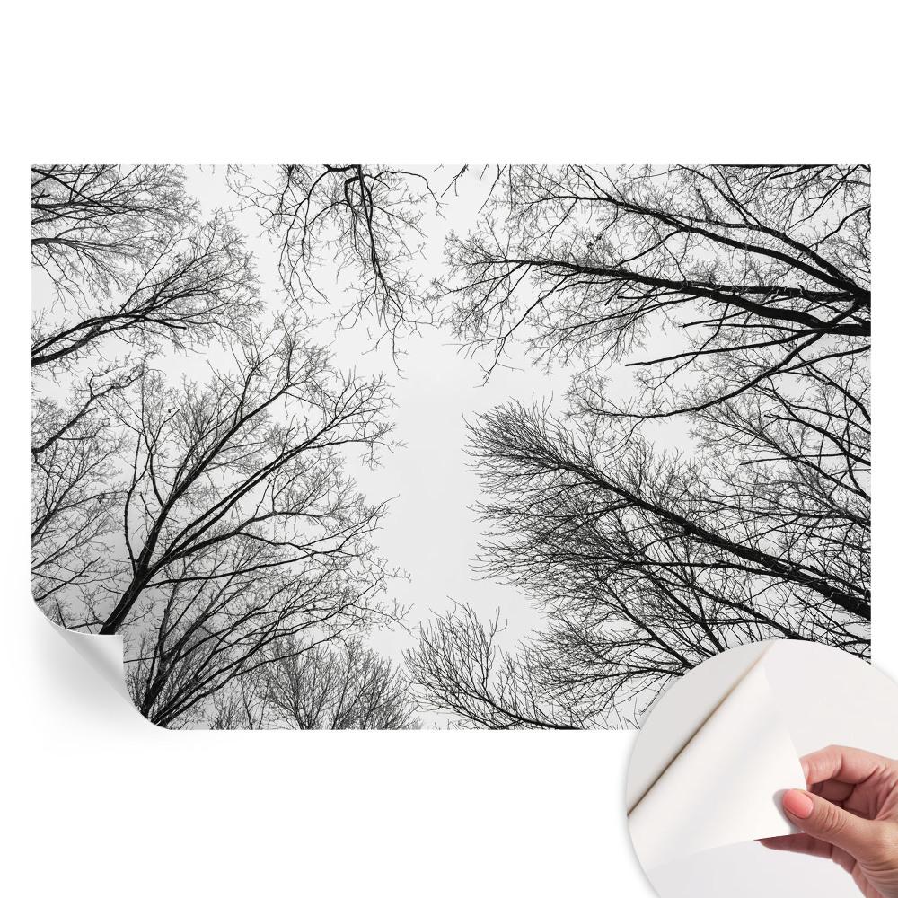 Papier peint autocollant pour salon motif branches nues