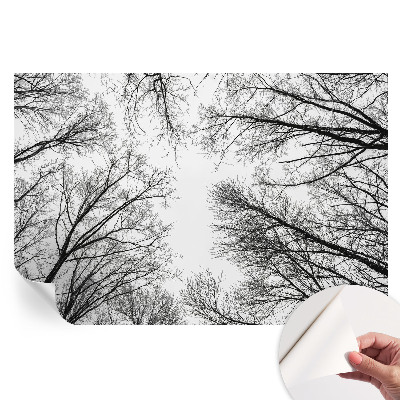 Papier peint autocollant pour salon motif branches nues