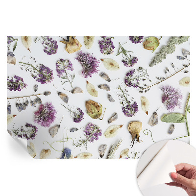 Papier peint photo autocollant Fleurs séchées pour la chambre