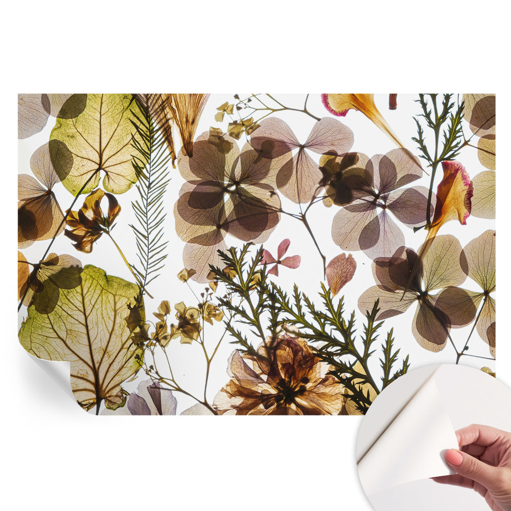 Papier peint photo autocollant pour chambre Composition naturelle