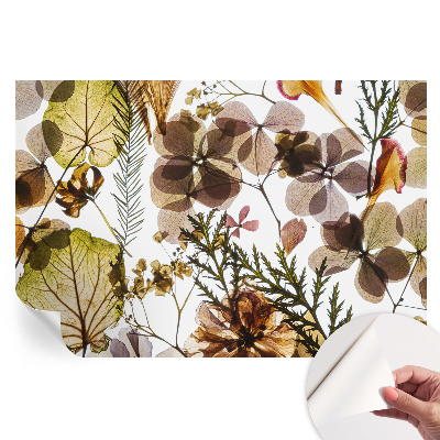 Papier peint photo autocollant pour la chambre Composition naturelle