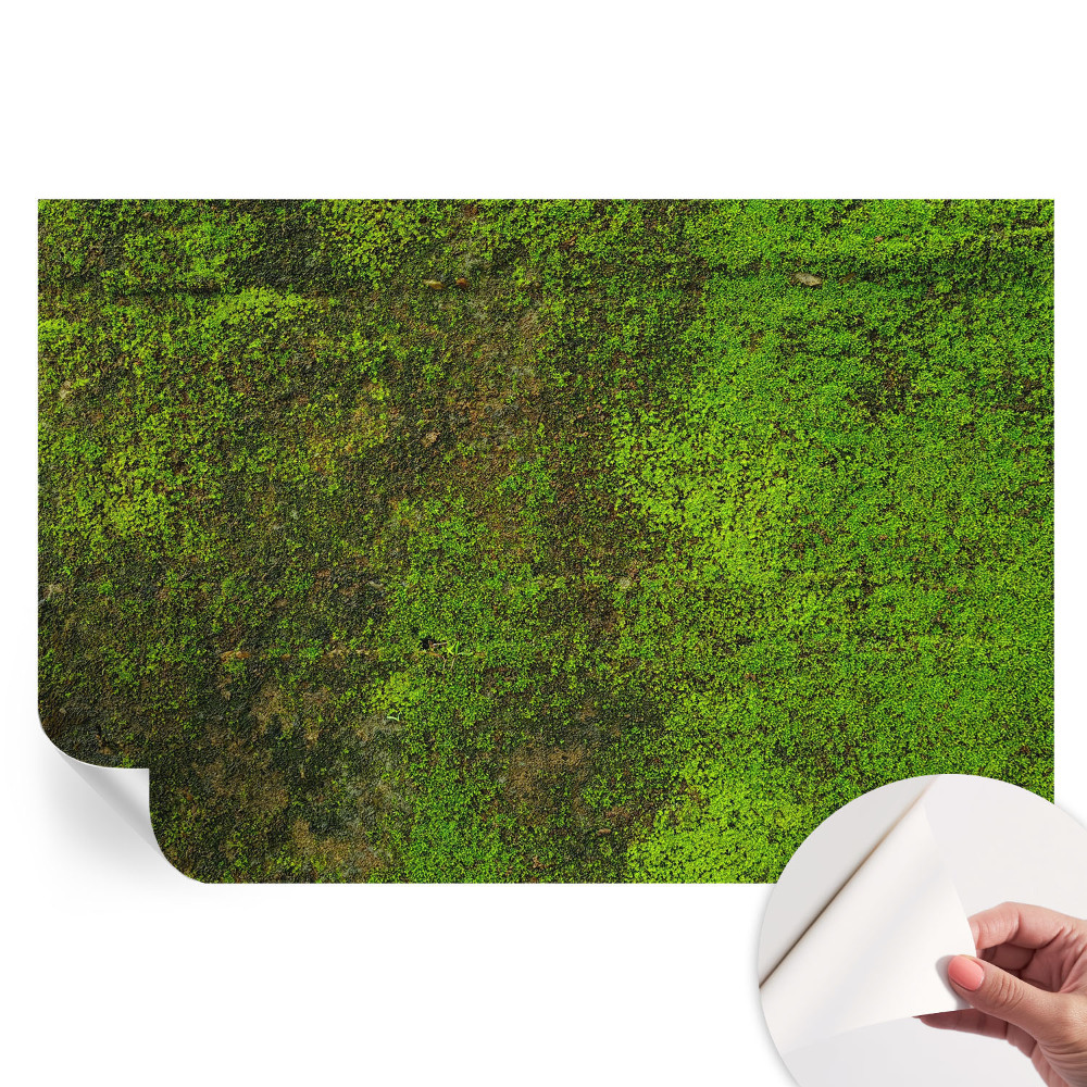 Papier peint photo autocollant pour la chambre Tapis vert