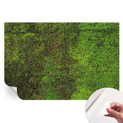 Papier peint photo autocollant pour chambre motif tapis vert
