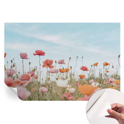 Papier peint photo moderne fleurs de coquelicot pour le salon