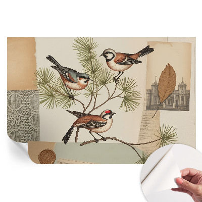 Papier peint autocollant pour le salon Collage d'oiseaux