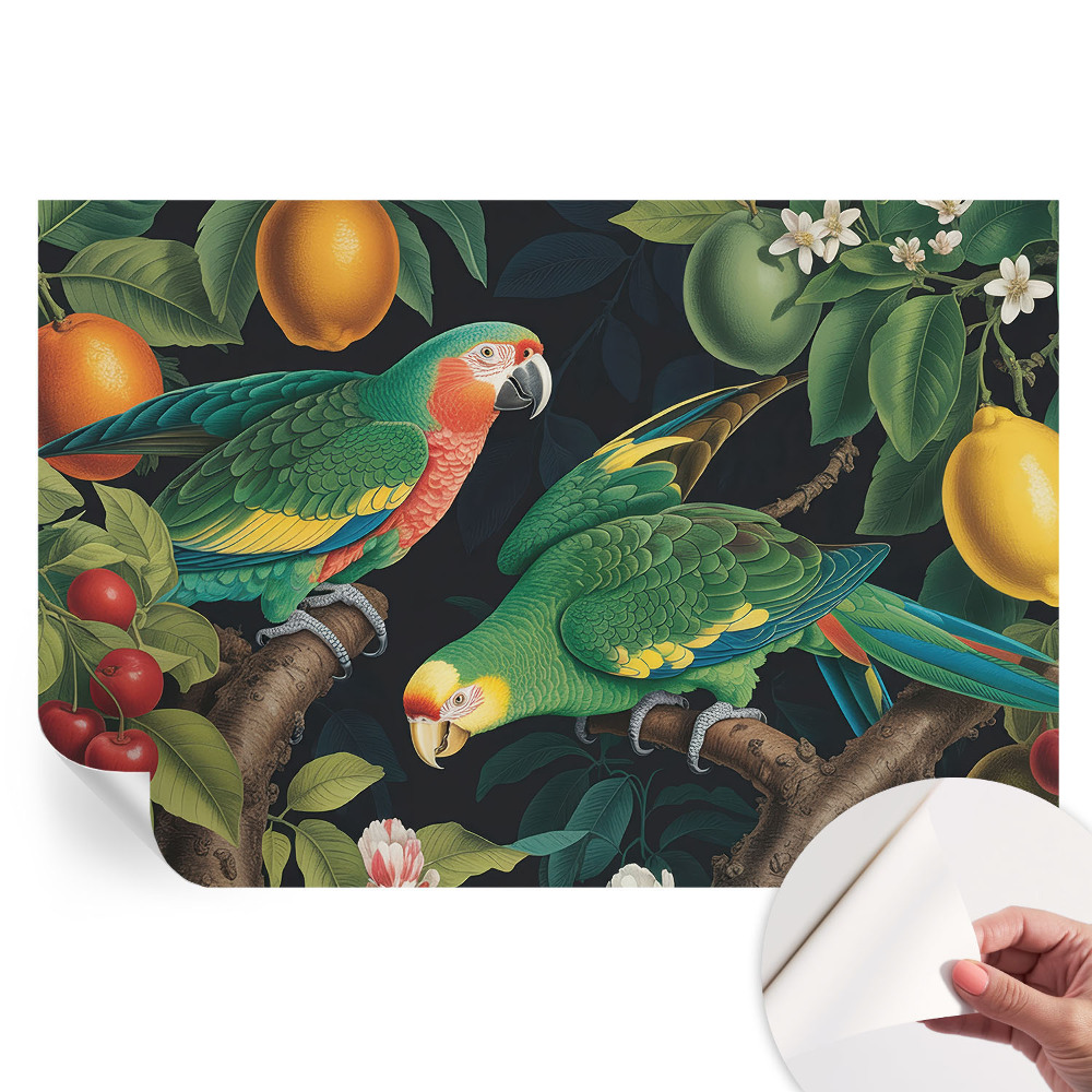 Papier peint photo autocollant aventure tropicale