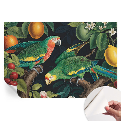 Papier peint photographique autocollant aventure tropicale