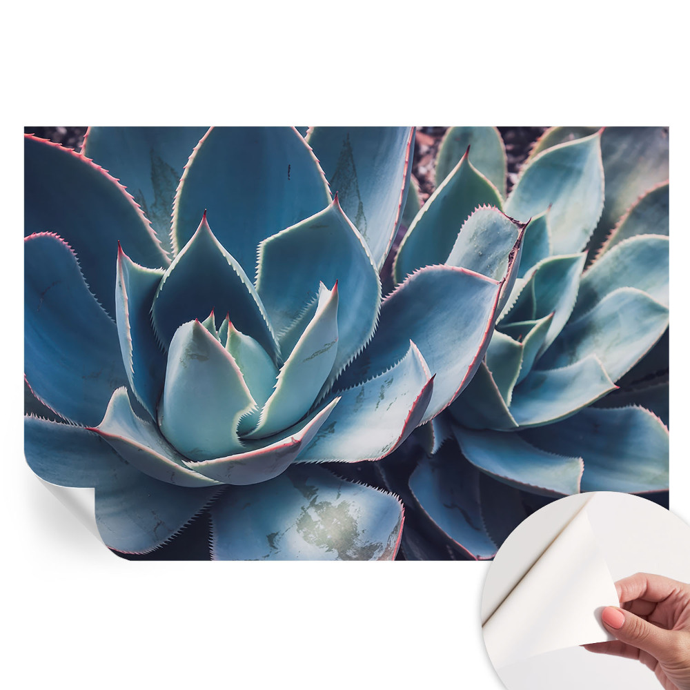 Papier peint autocollant pour le salon Aloès vert