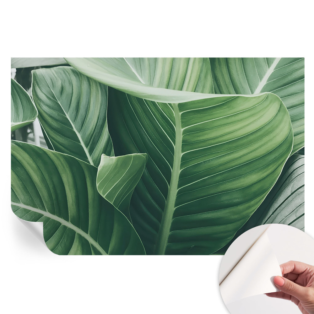 Papier peint photo autocollant Paix verte pour chambre