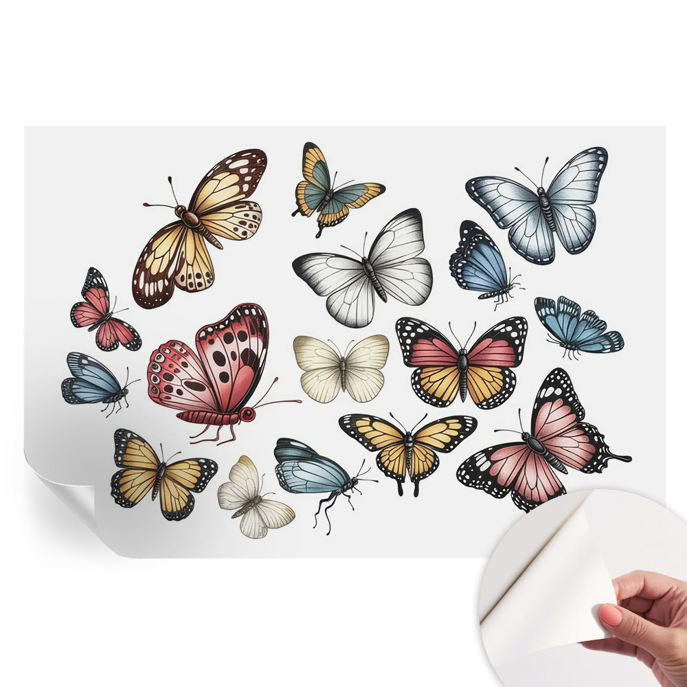 Papier peint photo moderne pour le salon Papillons paradis