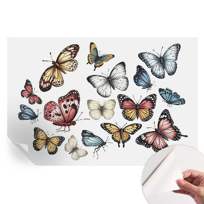 Papier peint photo moderne Papillons paradis pour salon
