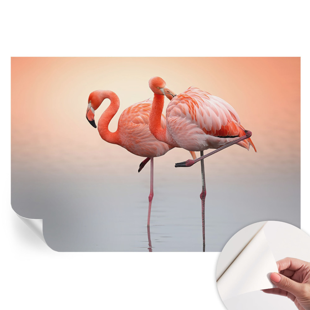 Papier peint photo moderne motif flamants roses délicats pour salon