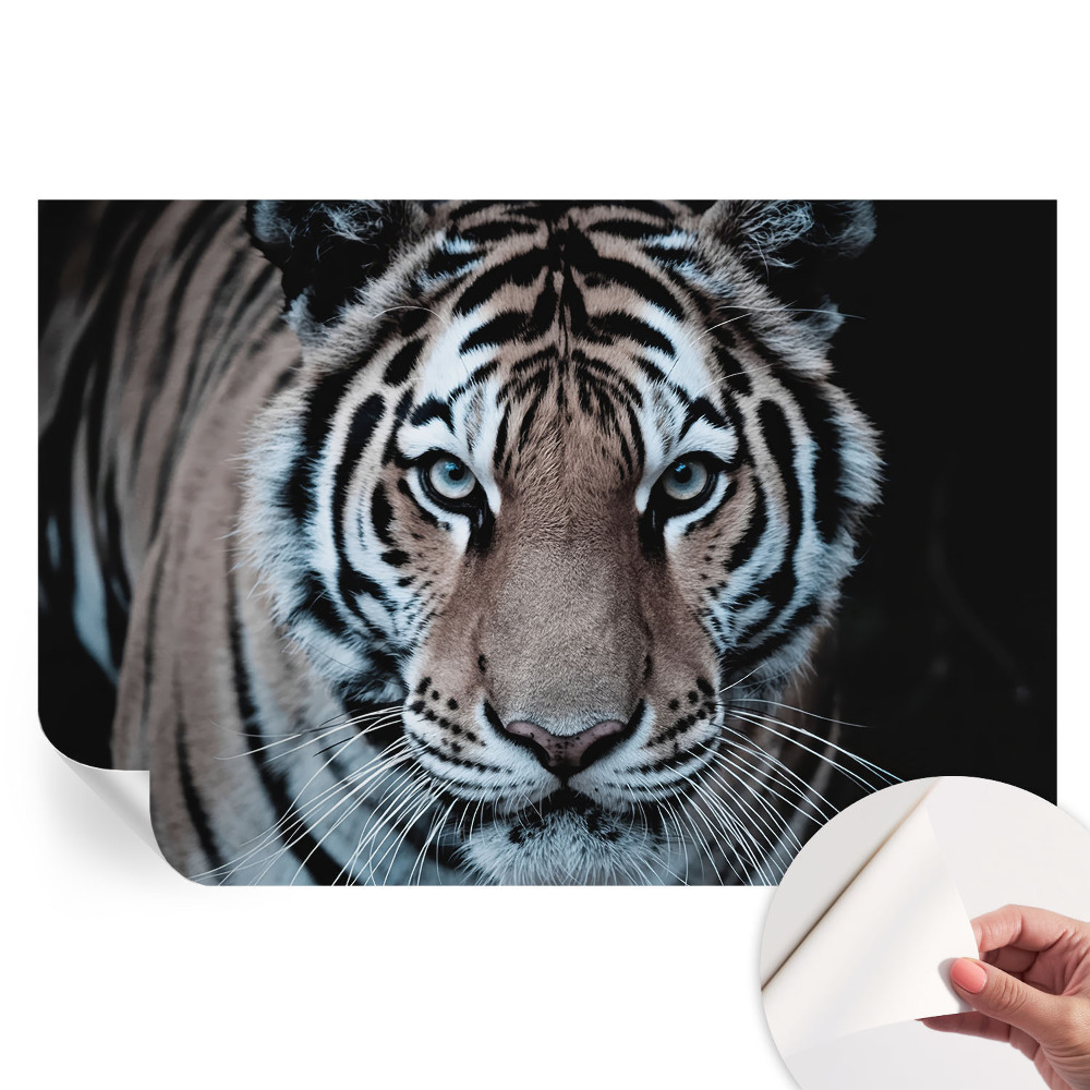 Papier peint photo moderne portrait de tigre pour salon