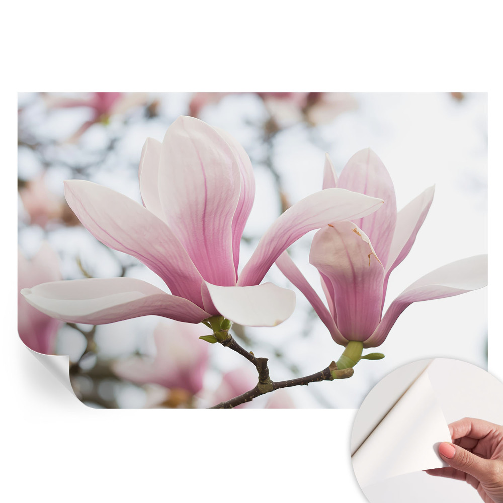 Papier peint photo autocollant pour la chambre fleurs de magnolia