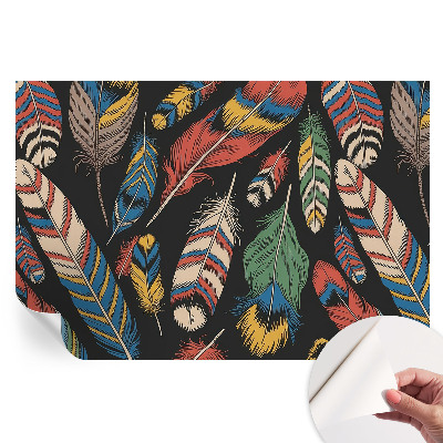Papier peint autocollant pour salon motif plumes colorées