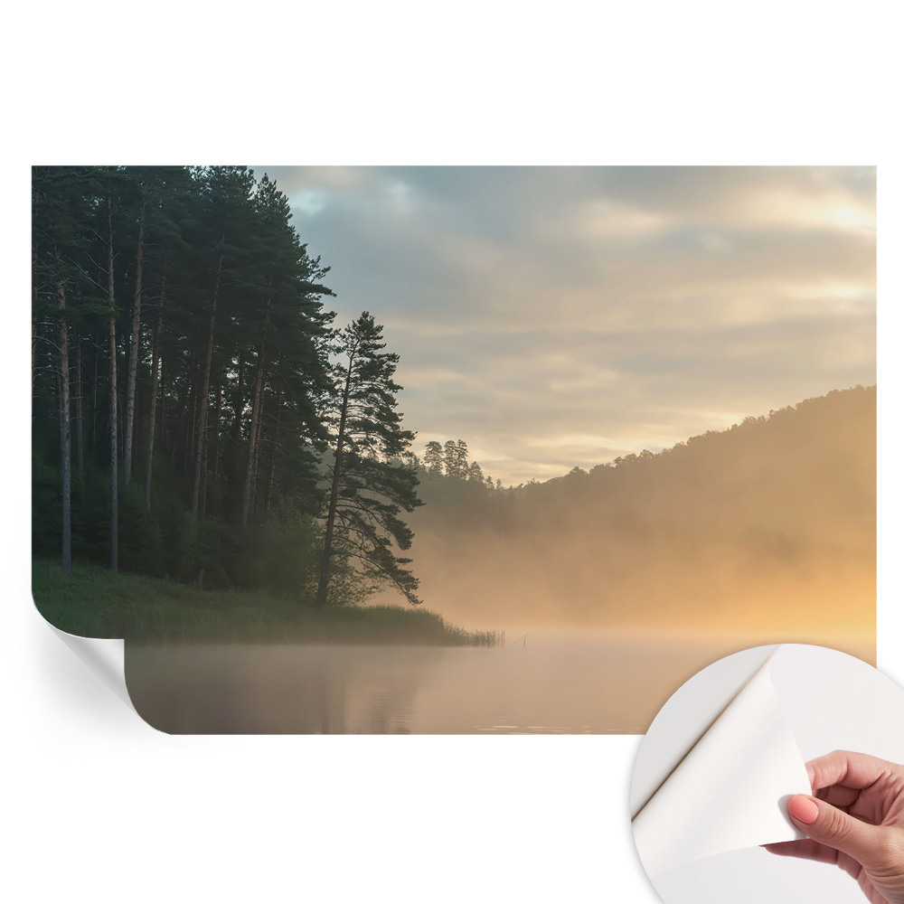 Papier peint photographique autocollant Matin brumeux