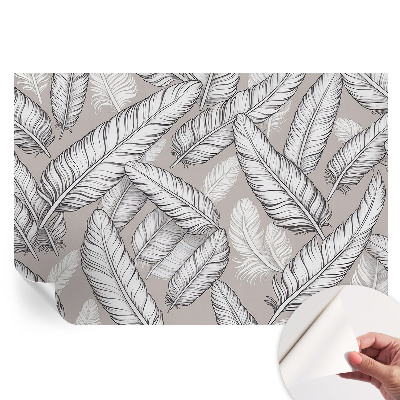 Papier peint photo moderne Plumes subtiles pour le salon